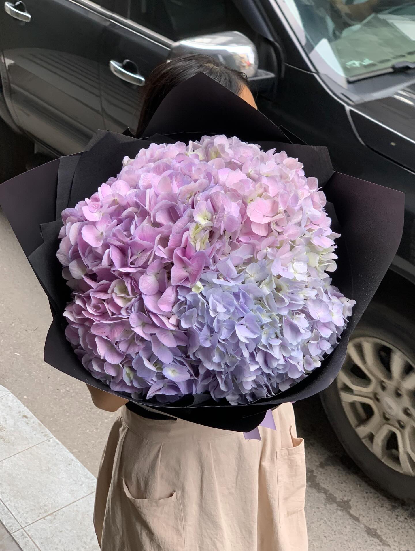 Xanh #2 - Cẩm tú cầu ombre