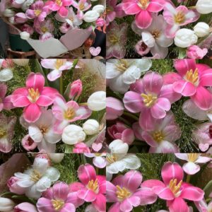 Hồng #10 - Tulip mix