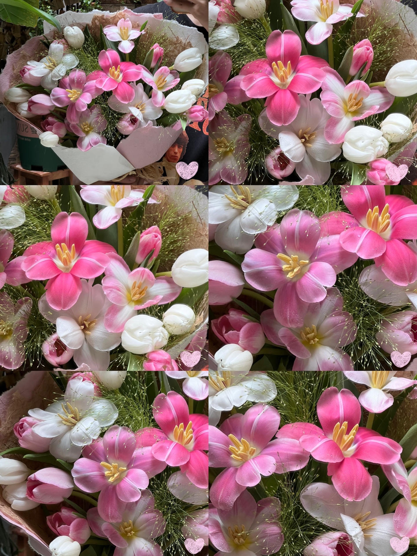 Hồng #10 - Tulip mix