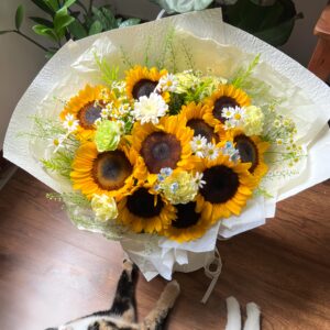 Vàng #7 - Hoa hướng dương tốt nghiệp - Không gấu