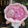 Hồng #7 - Cẩm tú cầu